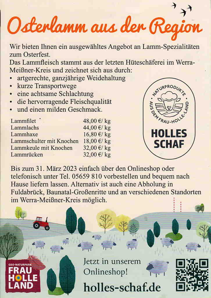 Holles Schaf Sonnenblick 72 30032023